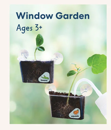 Window Garden