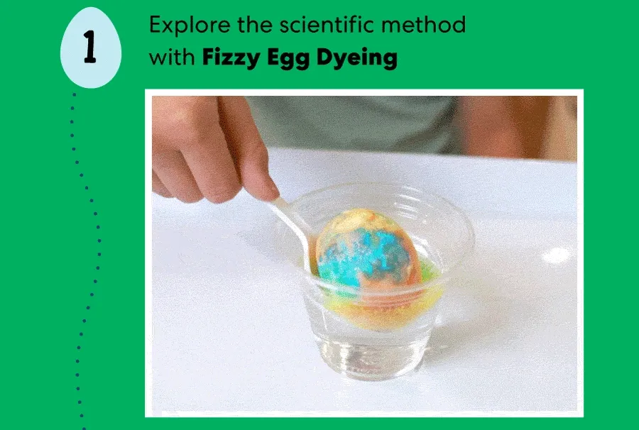 Explore the scientific method with Fizzy Egg Dyeing