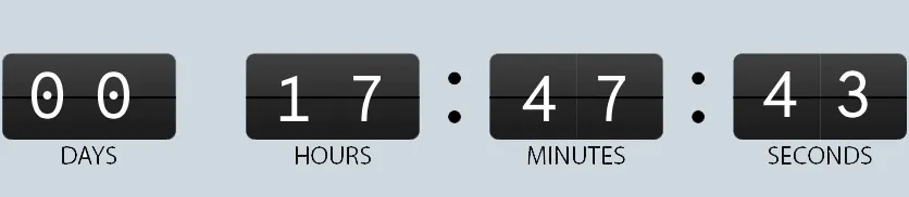 DAYS | HOURS | MINUTES | SECONDS