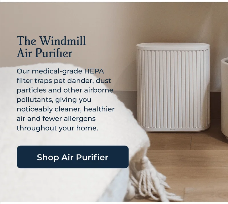 The Windmill Air Purifier
