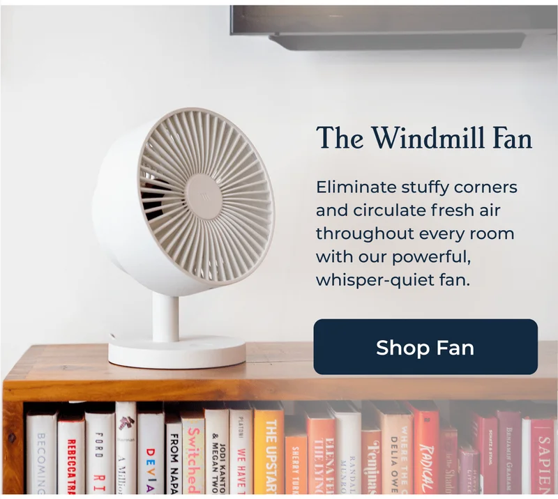 The Windmill Fan