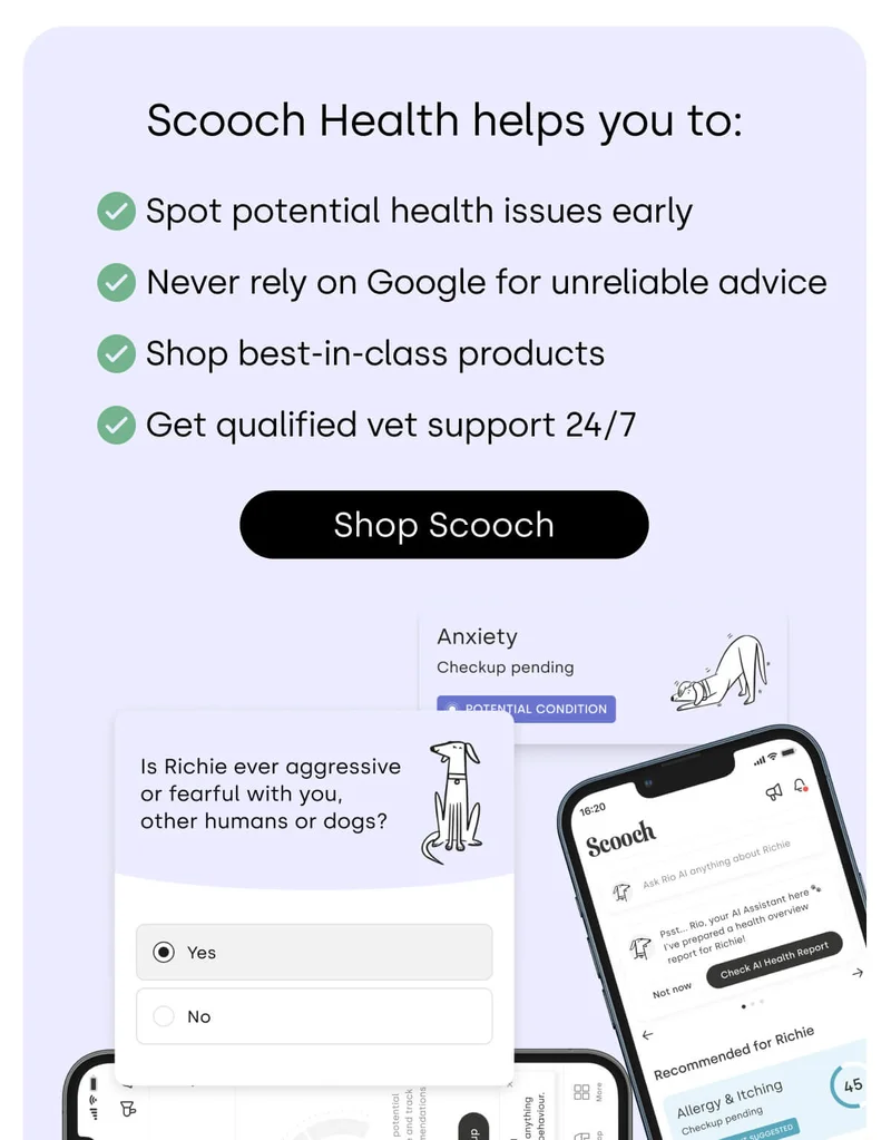 Scooch Health helps you to