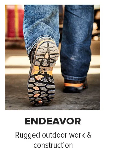 ENDEAVOR