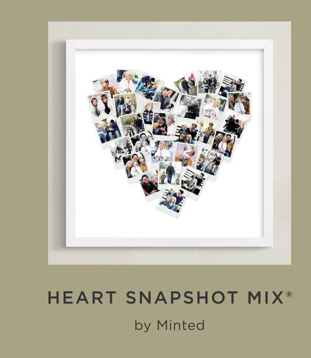 Heart Snapshot Mix®