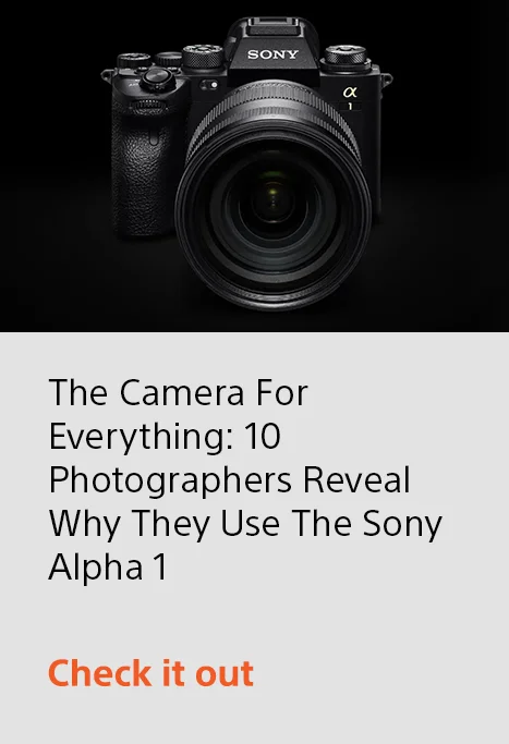 The Camera For Everything: 10 Photographers Reveal Why They Use The Sony Alpha 1 | Check it out