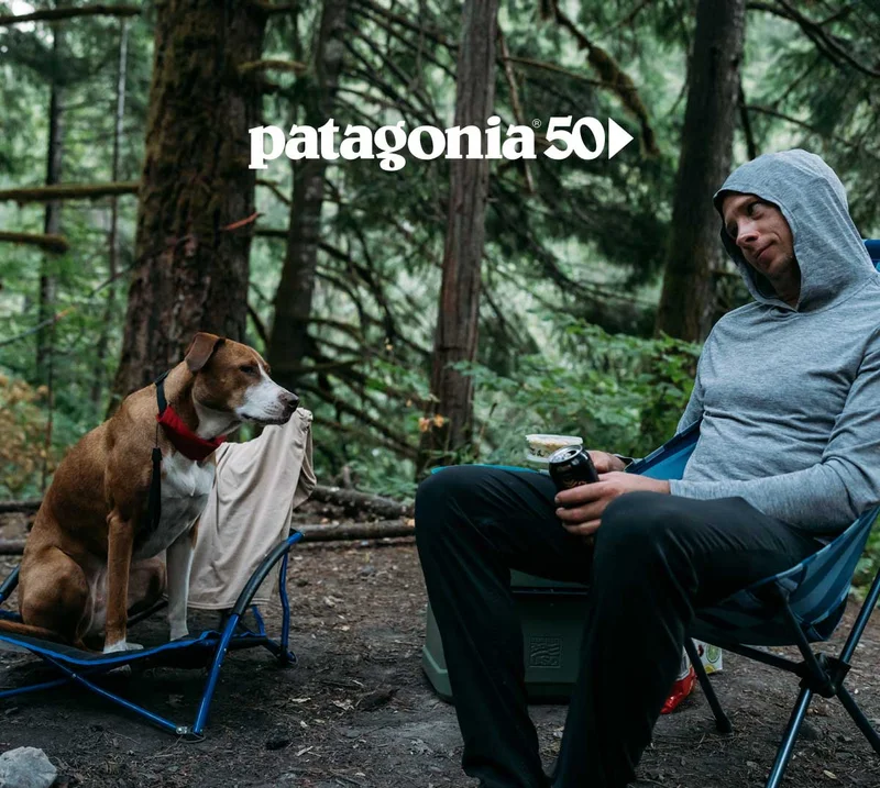 A person and a dog, each sitting on their own folding chair, stare at one another in a campsite.