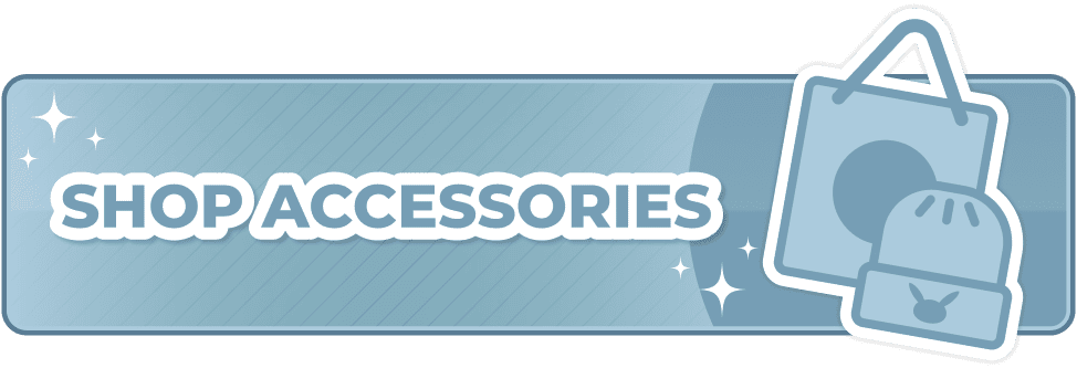 Shop Accessories ›