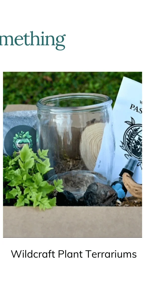 Wildcraft Plant Terrariums - Mystery DIY Subscription Box