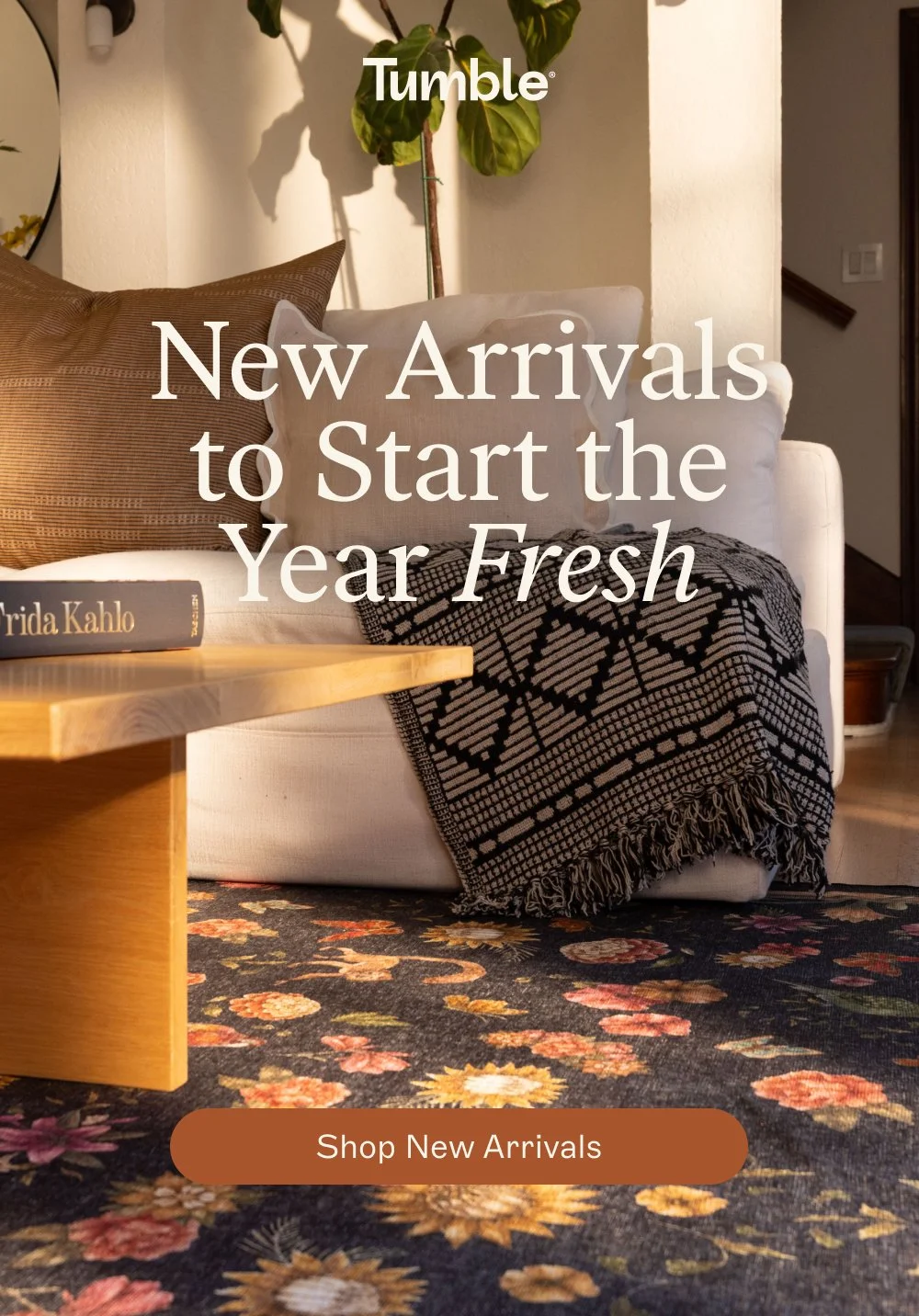 shop new arrivals