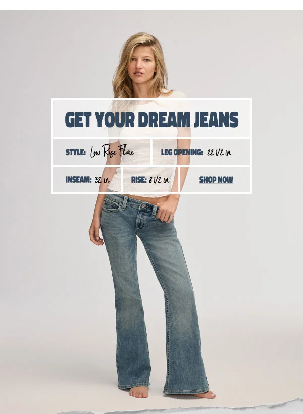 Get Your Dream Jeans Low Rise Flare Shop Now