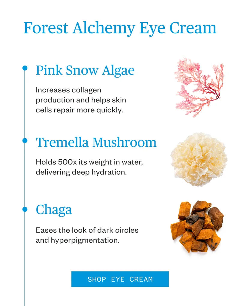 Eye Cream Ingredients