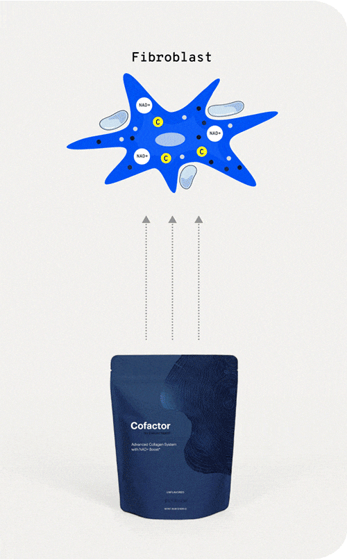 Cofactor