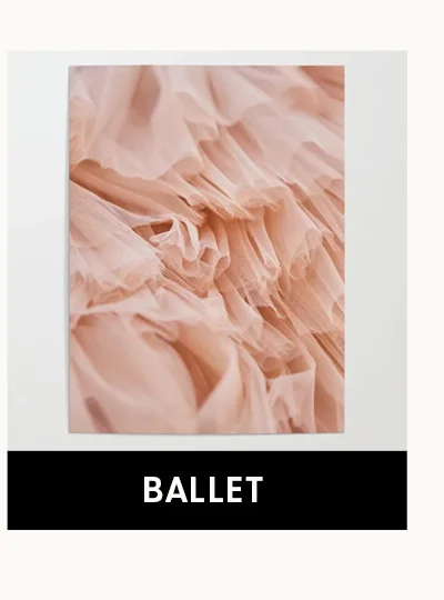 Shop Ballet Posters