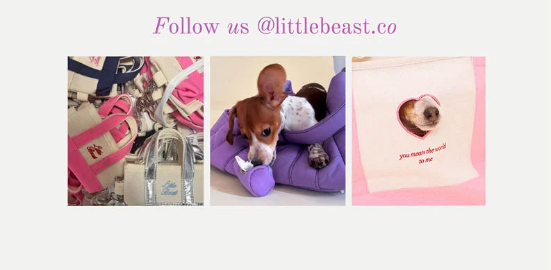 Follow us on Instagram