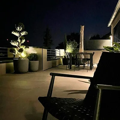Lily spot lights