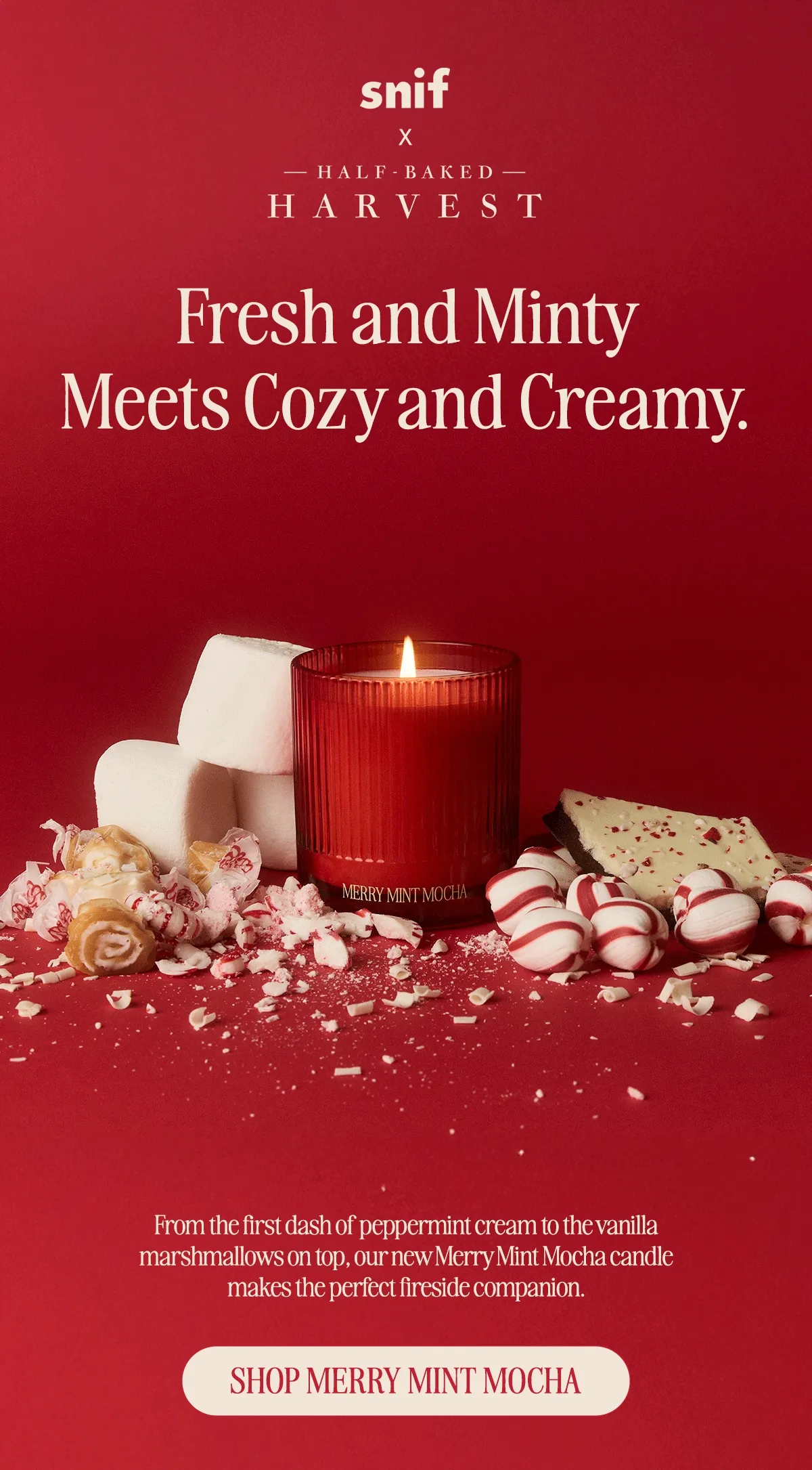 From the first dash of peppermint cream to the vanilla marshmallows on top, our new Merry Mint Mocha candle makes the perfect fireside companion.  white chocolate peppermint cream vanilla marshmallow sea salt chocolate shavings caramel swirl
