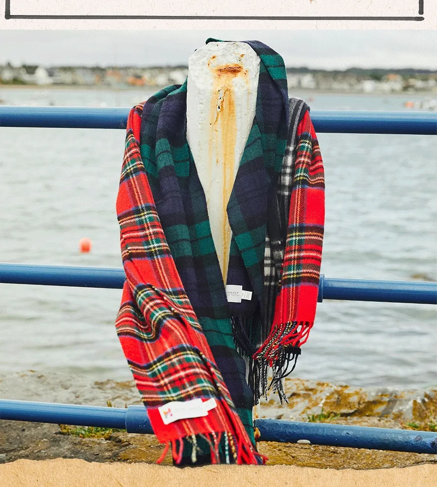 Ireland Capsule