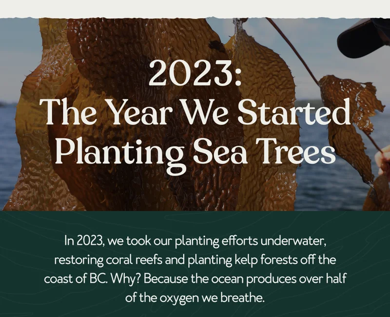 2023: The Year We Started Planting Sea Trees