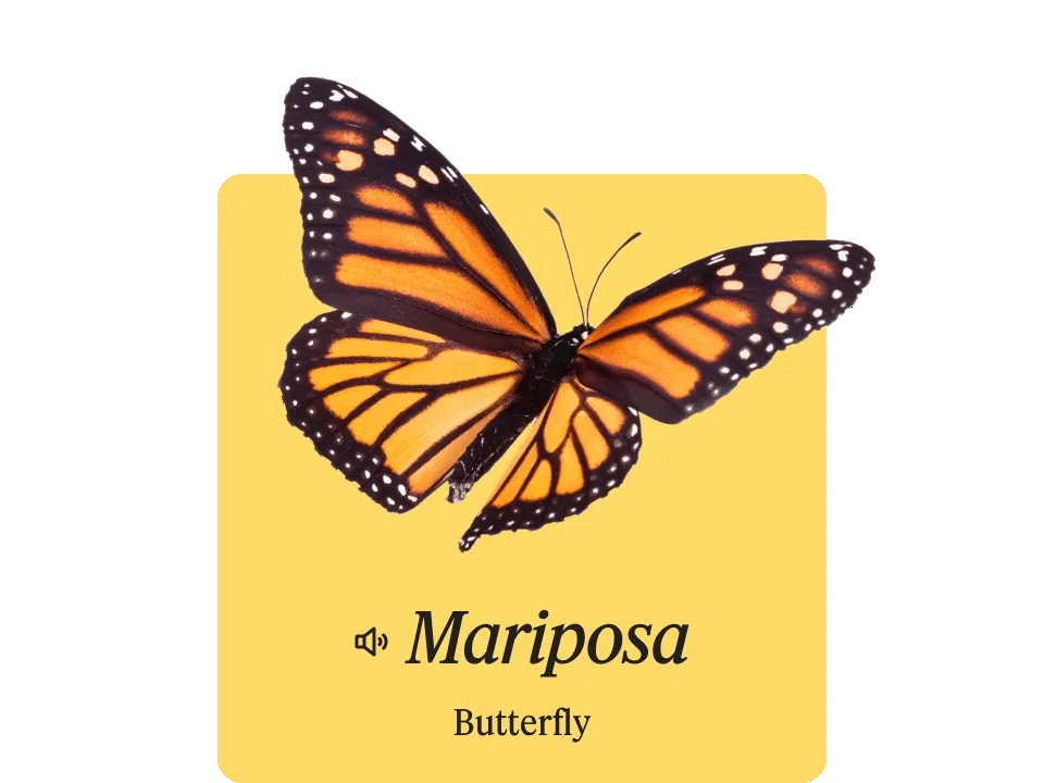 a photo of a butterfly