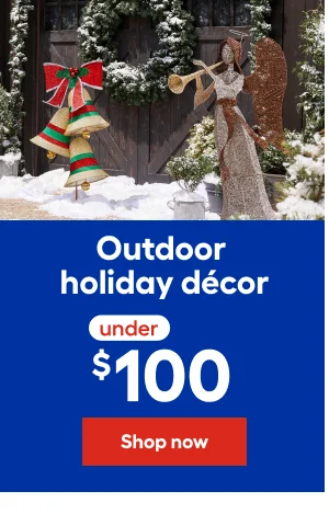 Outdoor holiday decor under $100
