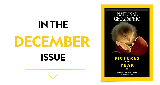 In The December Issue
