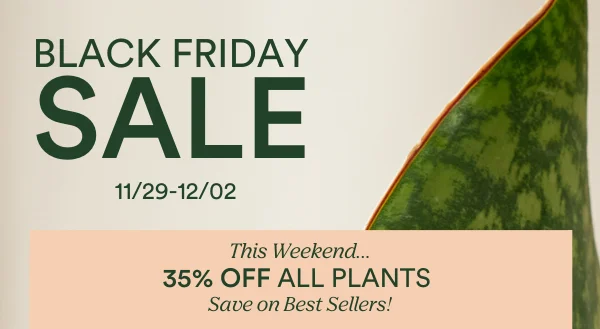 black friday sale starts friday 11/29
