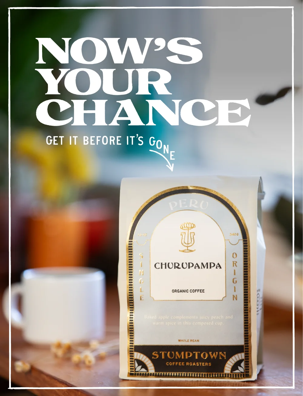 Last chance to get Peru Churupampa