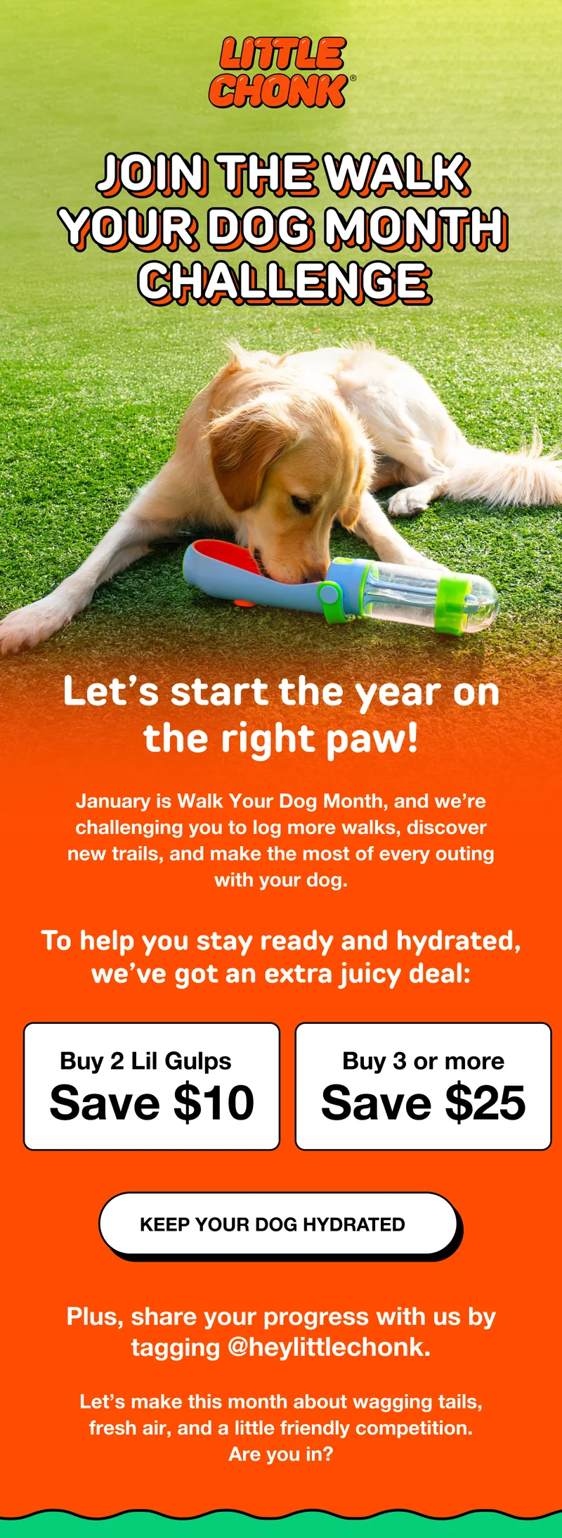 January is Walk Your Dog Month, and we’re challenging you to log more walks, discover new trails, and make the most of every outing with your dog.
