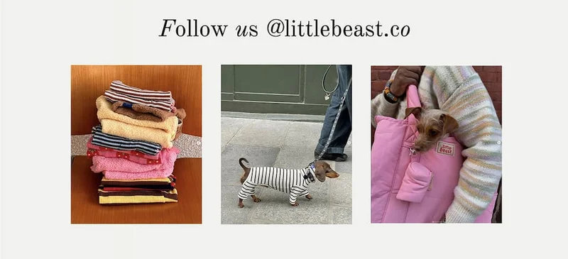 Follow us on Instagram