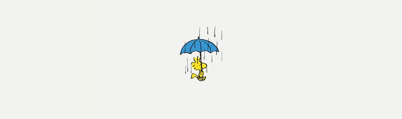Rain coats