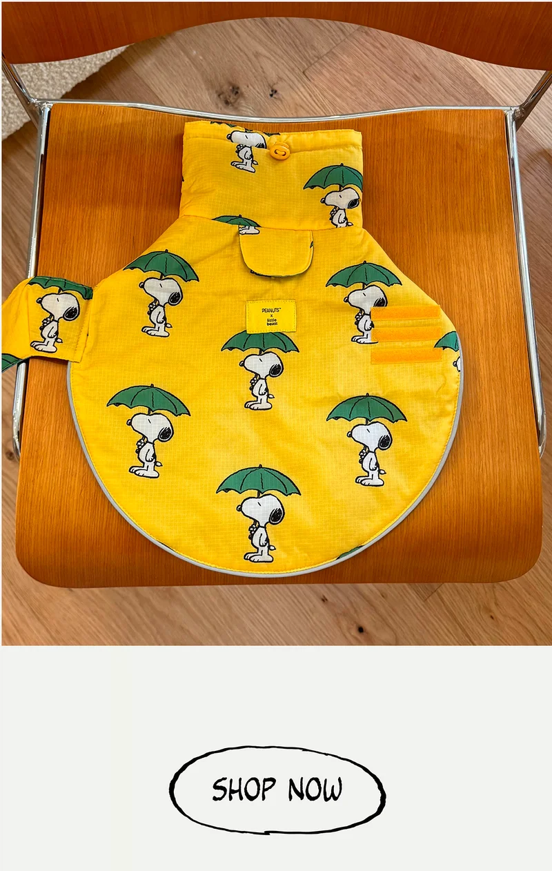 Snoopy and Woodstock Raincoat - Yellow / Blue