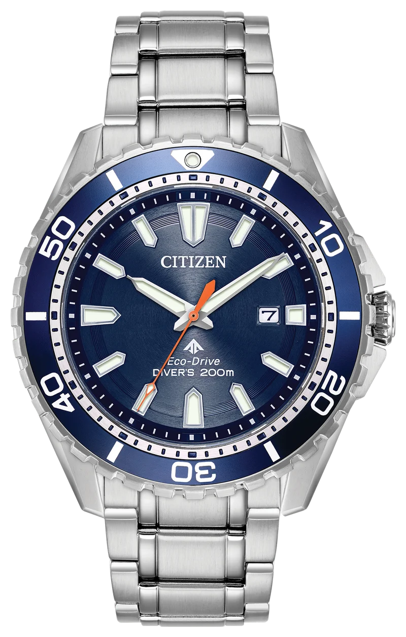 Image of Promaster Dive