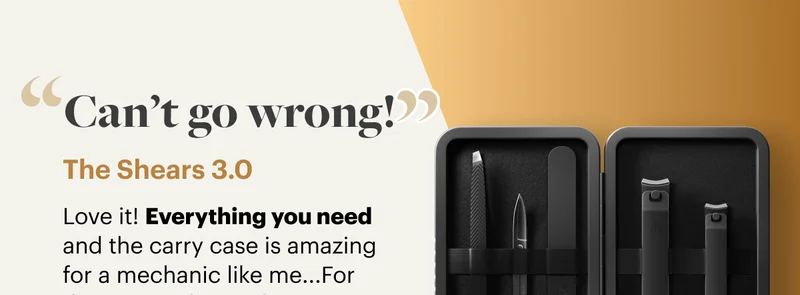 "Can't go wrong!"