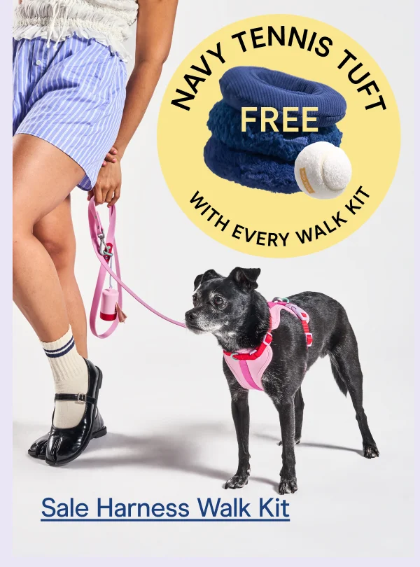 Sale Harness Walk Kit