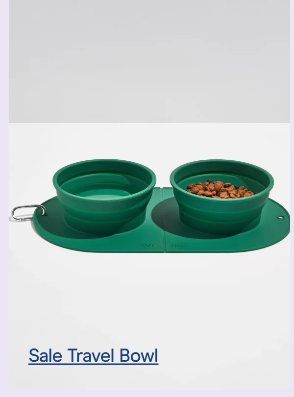 Sale Travel Bowl