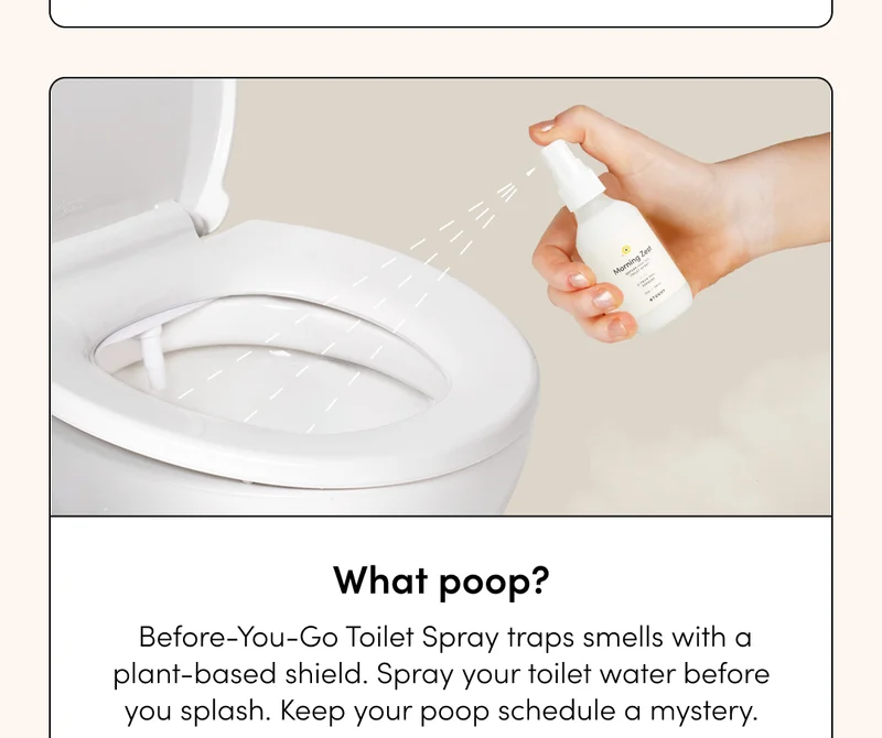 TUSHY TOILET SPRAY