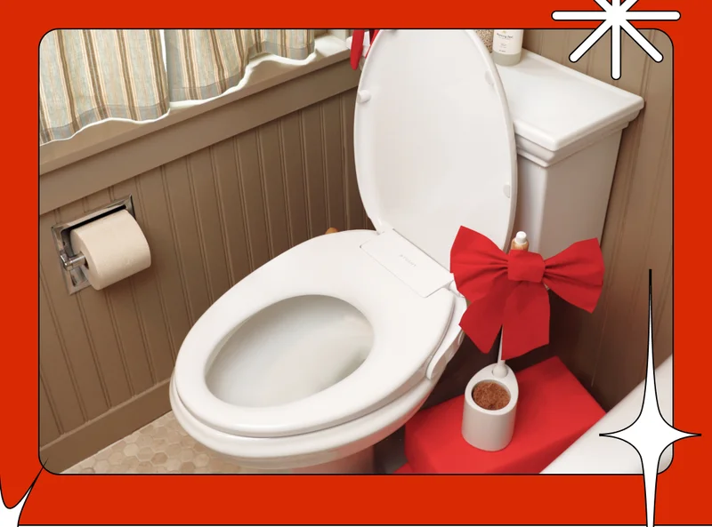 IMAGE OF BIDET
