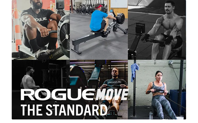 Rogue Move - The Standard (eBook)