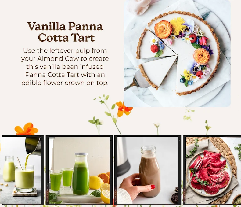 Vanilla Panna  Cotta TartVanilla Panna  Cotta Tart