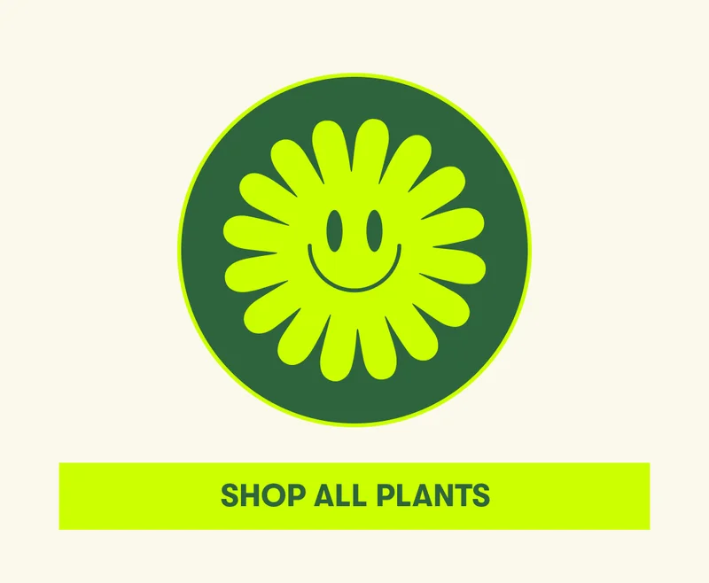 Shop all plants.