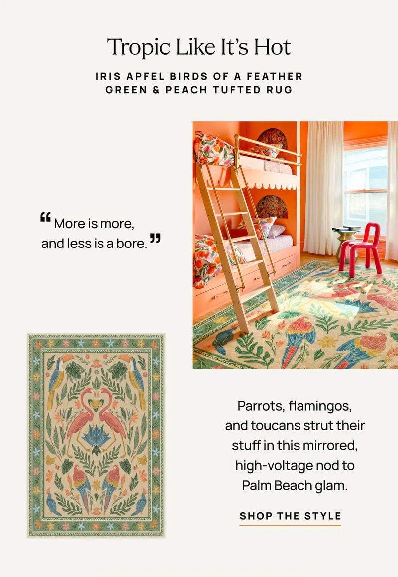 Shop The Rug