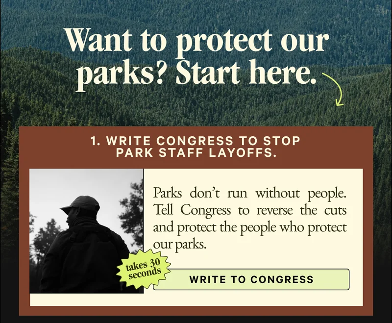 WRITE TO CONGRESS