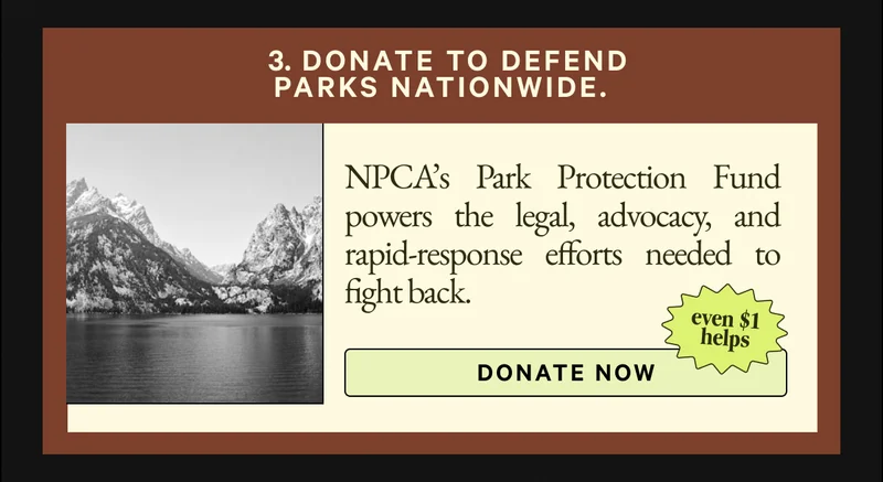 DONATE NOW