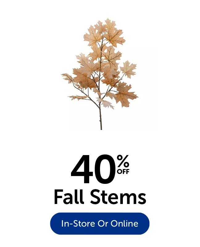 40% Off Fall Stems