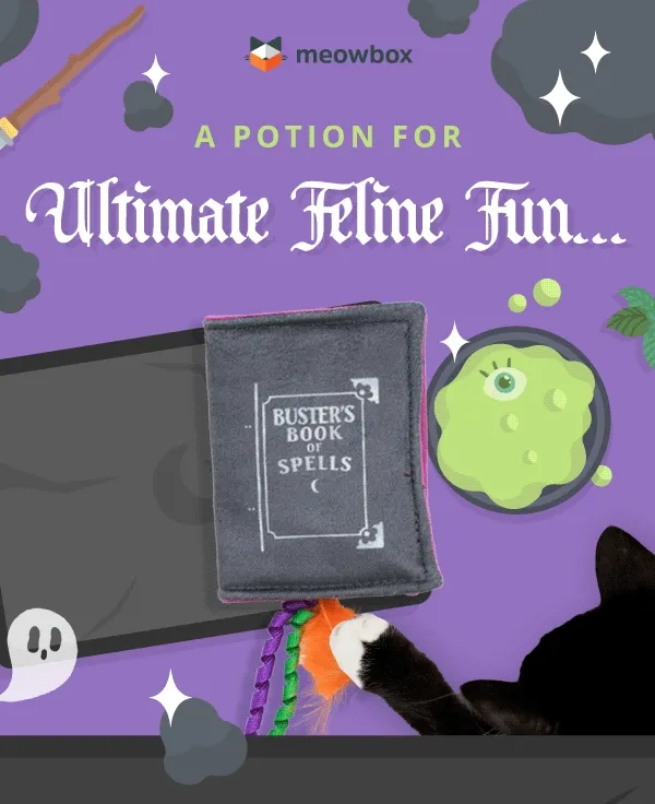 A potion for ultimate feline fun... Animation of the Modern Meowgic Book opening and closing with a black cat's paw on it in front of a potion environment