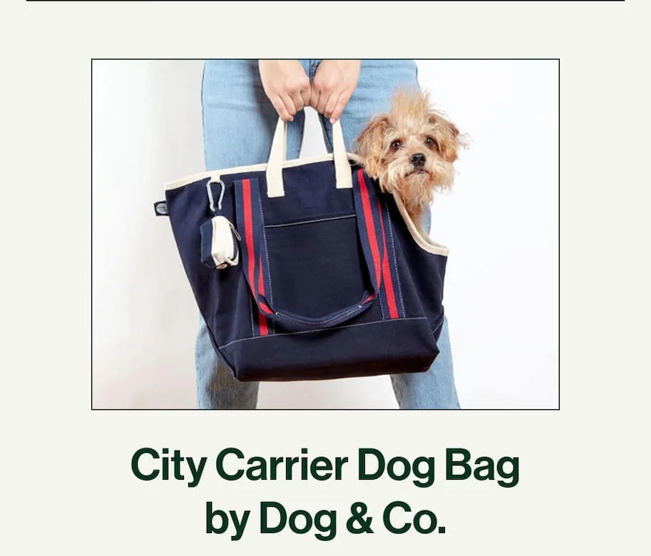 City Carrier Dog Bag