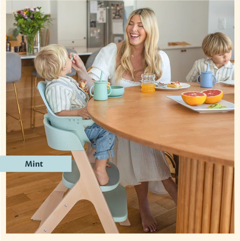 Shop High Chair