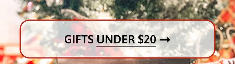 GIFTS UNDER $20 [SHOP NOW]