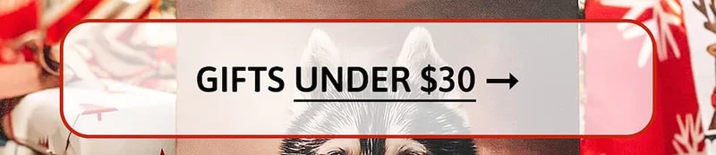 GIFTS UNDER $30 [SHOP NOW]