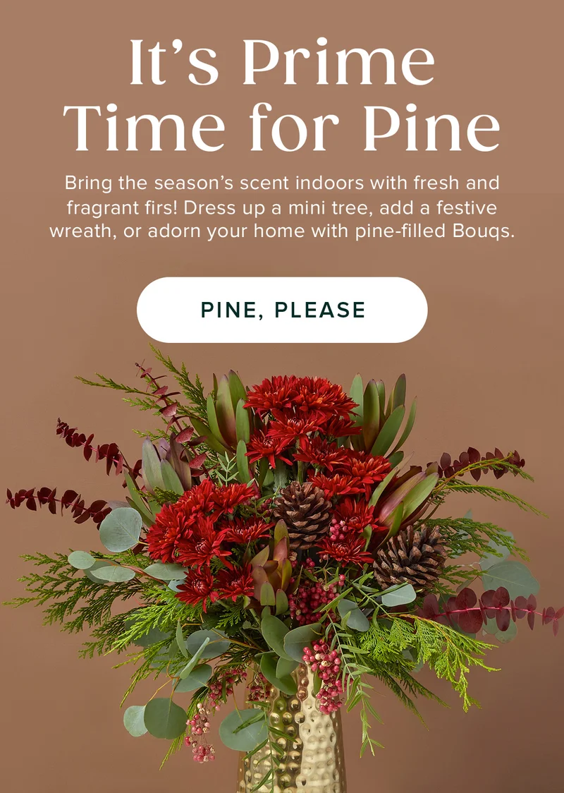 It’s Prime Time for Pine Bring the season's scent indoors with fresh and fragrant firs! Dress up a mini tree, add a festive&nbsp;wreath, or adorn your home with pine-filled Bougs. PINE, PLEASE